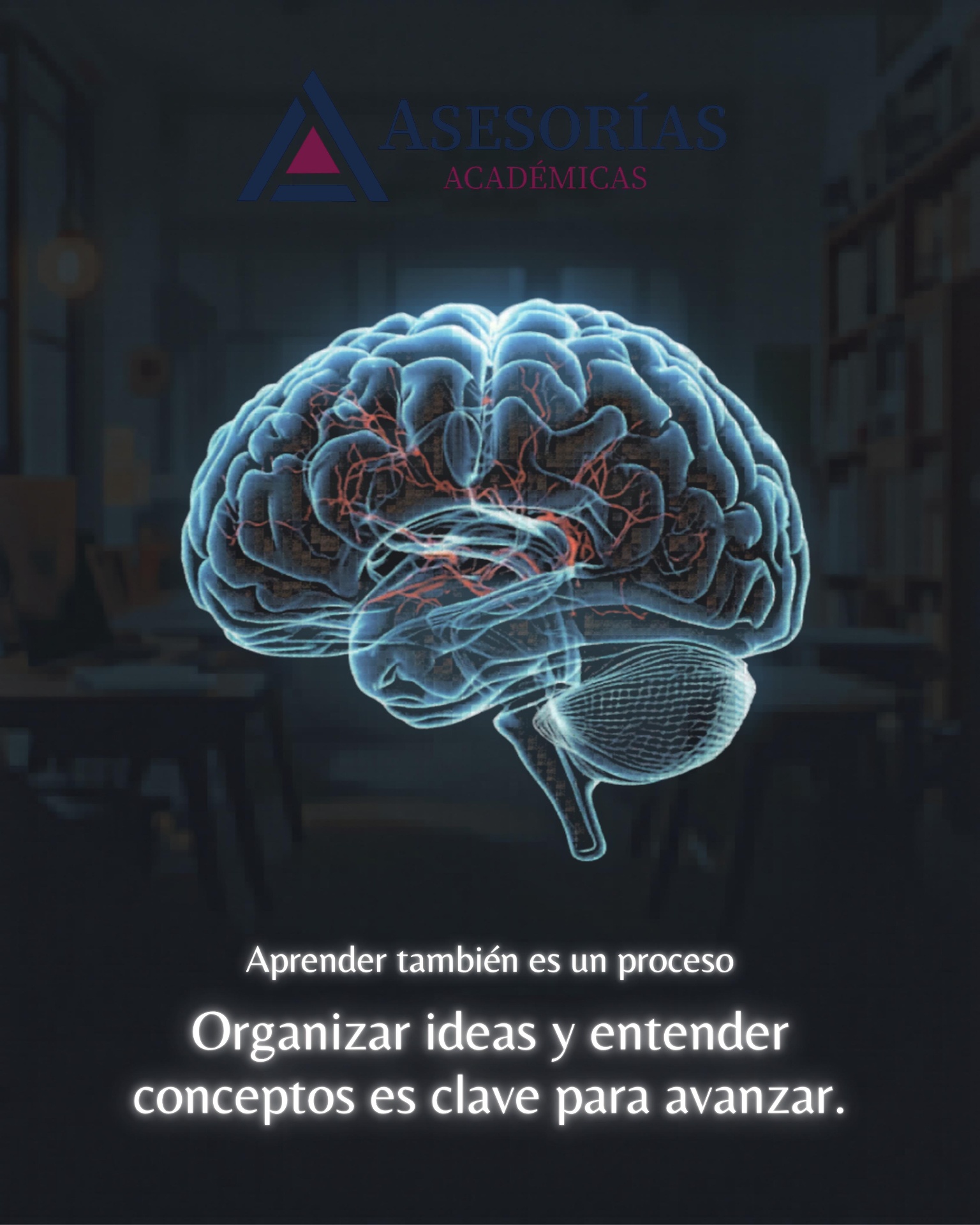 Organizar ideas y entender conceptos